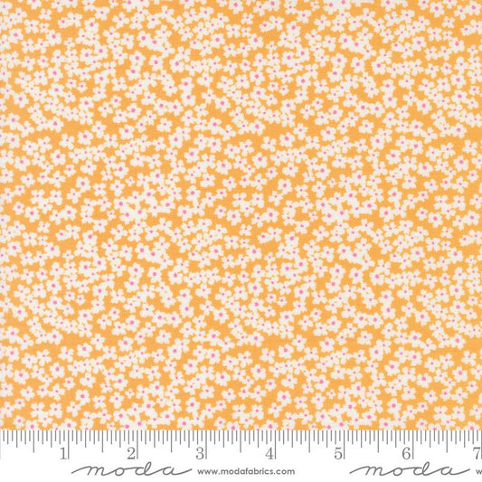 Shine Orangesicle 55672 15