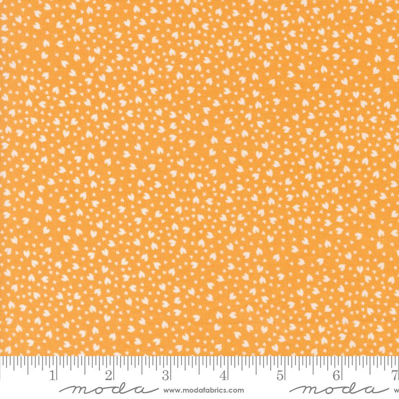 Shine Orangesicle 55675 15