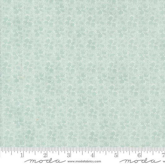 Sandalwood Eucalyptus Tonal 44387 13