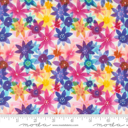 Flower Patches Rainbow Daisy 21827 11