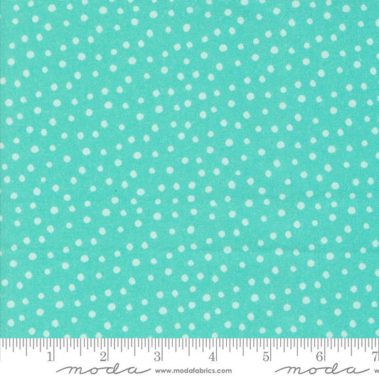 Flower Patches Robins Egg Dots 21829 16