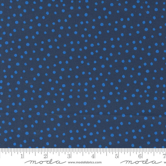 Flower Patches Midnight Dots 21829 23