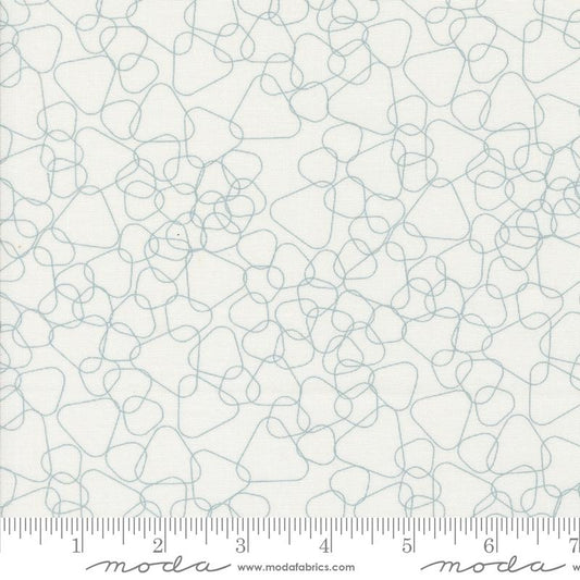 Still More Paper White 1876 11