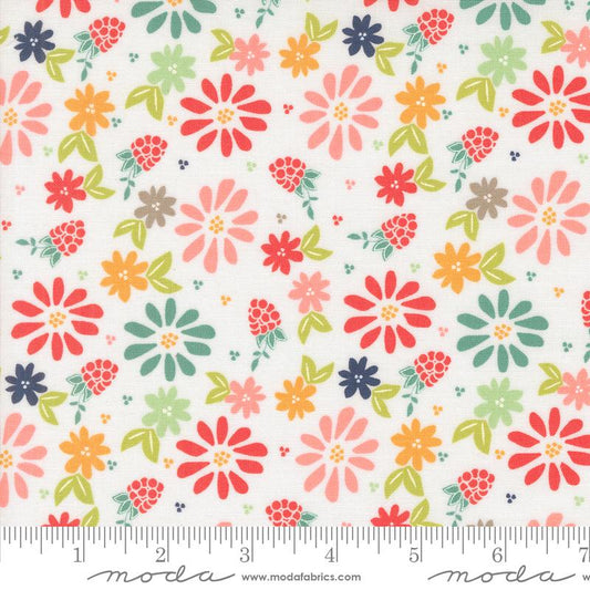 Raspberry Summer Lg Floral Cloud 37690 11