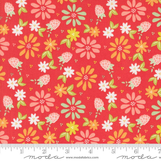Raspberry Summer Lg Floral Raspberry 37690 13