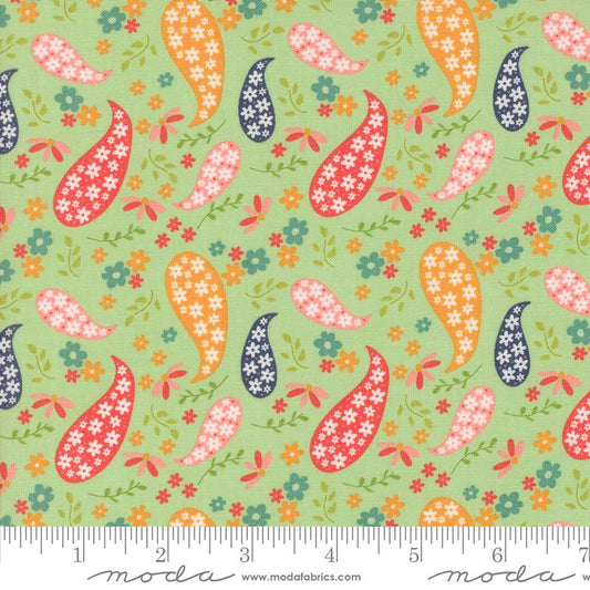 Raspberry Summer Paisley Mint 37691 15