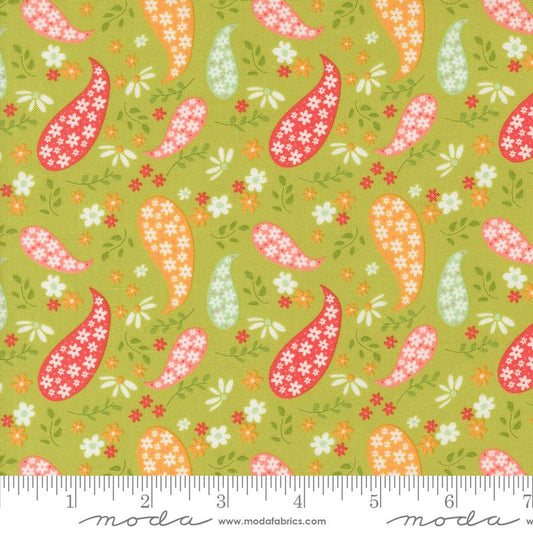 Raspberry Summer Paisley Lime 37691 17