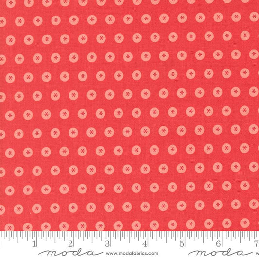 Raspberry Summer Dot Raspberry 37692 13