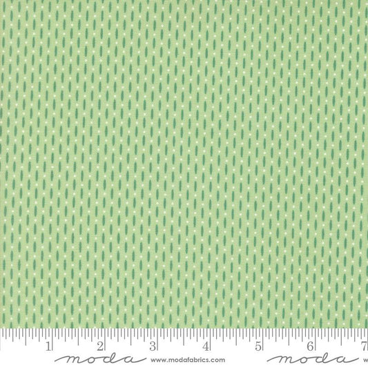 Raspberry Summer Lines Mint 37696 25