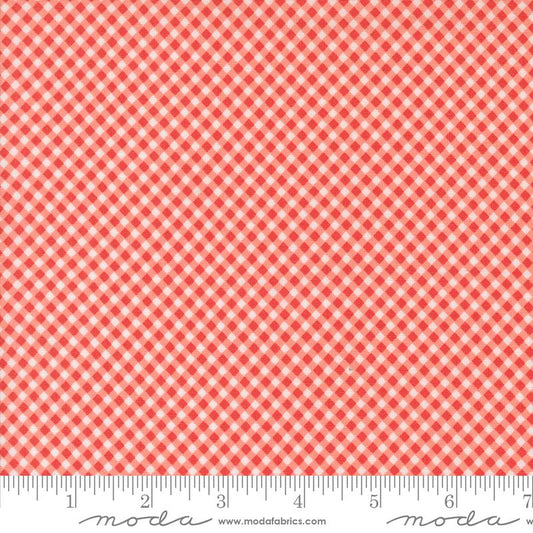 Raspberry Summer Gingham Carnation 37697 12