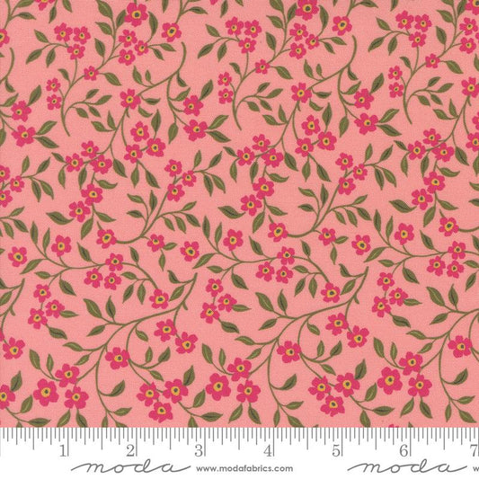 Sagewood Dogwood Rose 11953 21
