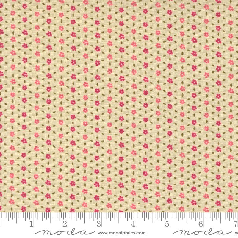 Sagewood Seedling Pearl 11956 11