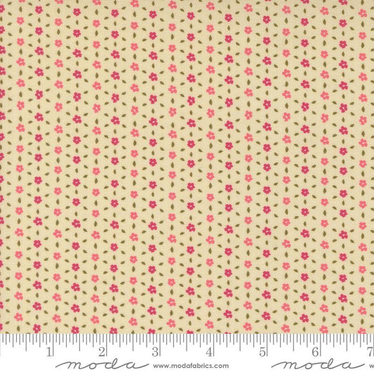 Sagewood Seedling Pearl 11956 11