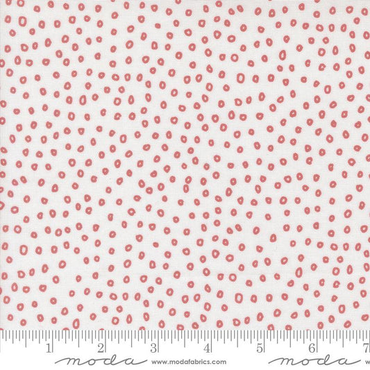 Botany Seeds Paper 11556 14