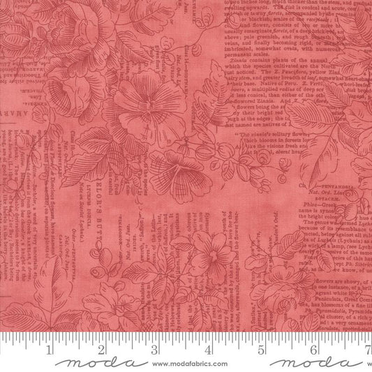 Muse Scarlet Words 44392 13