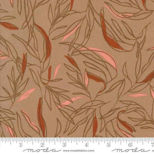 Foraged Found Leaf Sketch Mushroom 45632 13