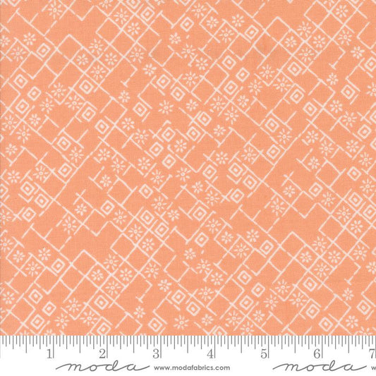 Foraged Found Tonal Peach 45635 19