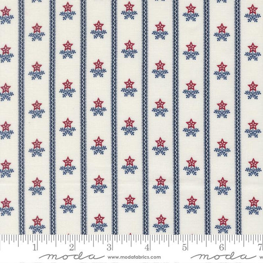 American Gatherings III Bouquet Stripe Cloud 49322 11