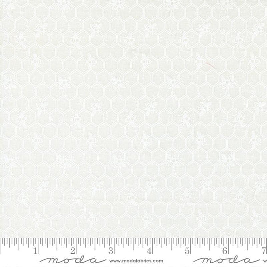 Wild Honey Daisy White Honeycomb 5253 21