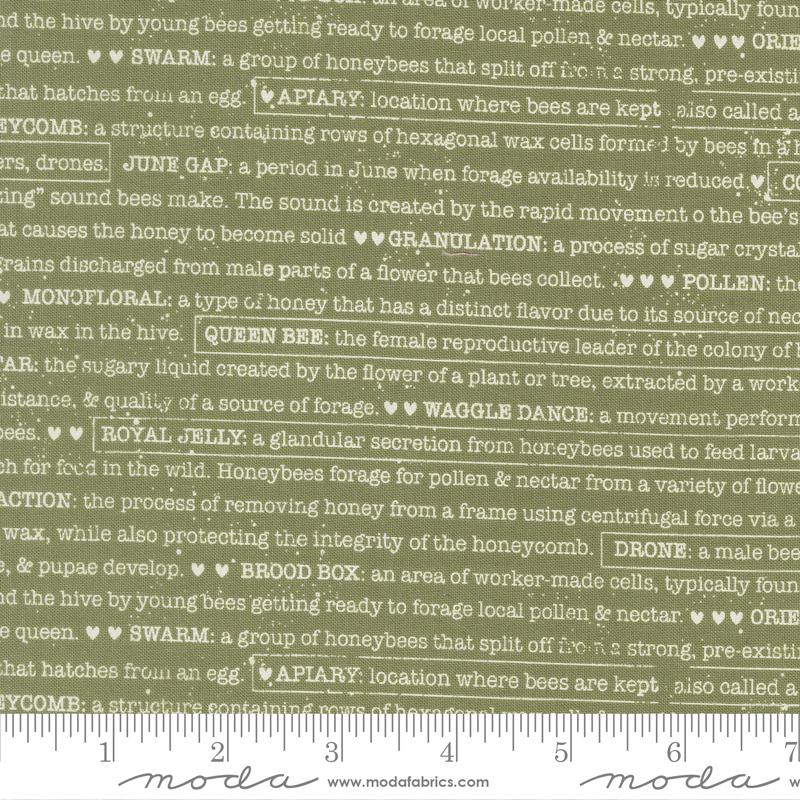 Wild Honey Fern Words 5254 15