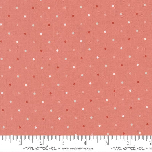 Wild Honey Magic Dot Rose Water 5230 53