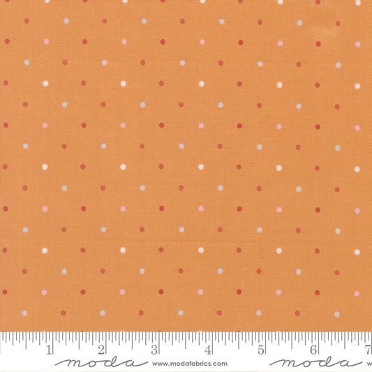 Wild Honey Magic Dot Honey 5230 56