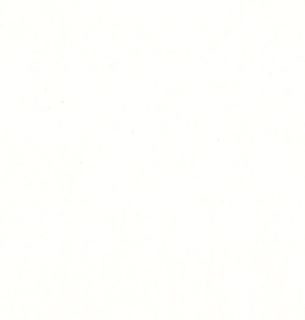 Bella Solids Porcelain