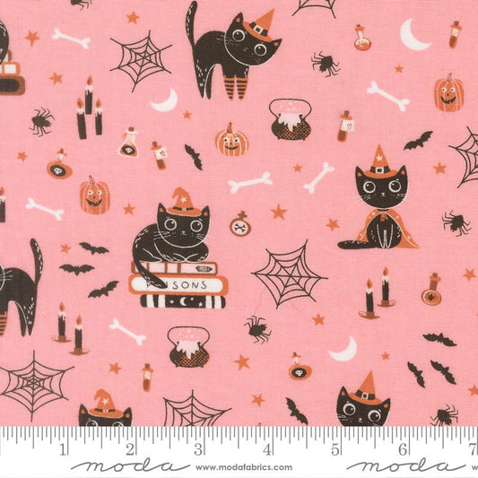 Purrs and Boos Cats Candy 39060 13
