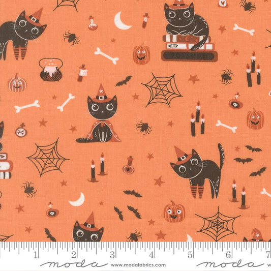 Purrs and Boos Pumpkin 39060 14 Moda #1