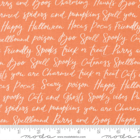 Purrs and Boos Pumpkin 39062 14 Moda #1