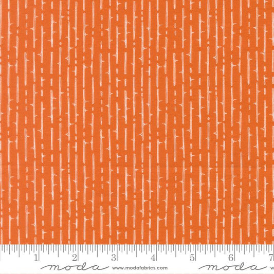 Coven Thorny Stripes Pupmkin Spice 48806 13