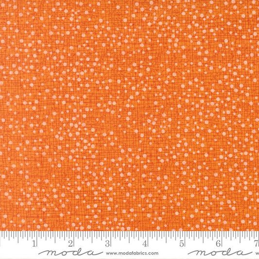 Coven New Thatched Citrus 48715 123