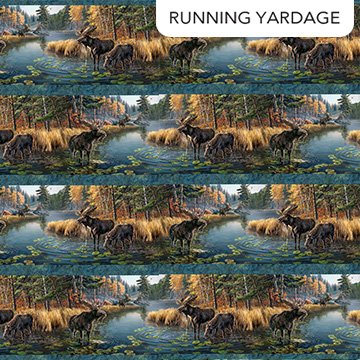 Autumn Woodland Blue Border Stipe Moose