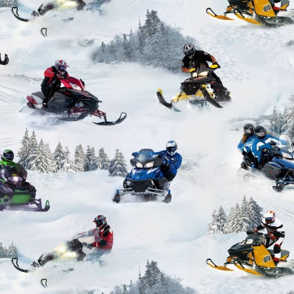 In Motion Snowmobile