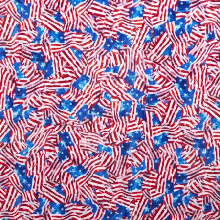 Cardinal Hoffman Election Day Digital Cuddle 60"