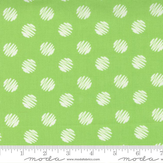 Love Lily Kiwi 24113 15 Moda #1