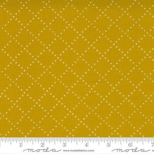 Nocturnal Gold 48337 14 Moda #1