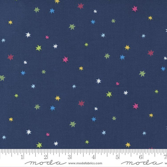 Rainbow Garden Blueberry 35366 18 Moda #1