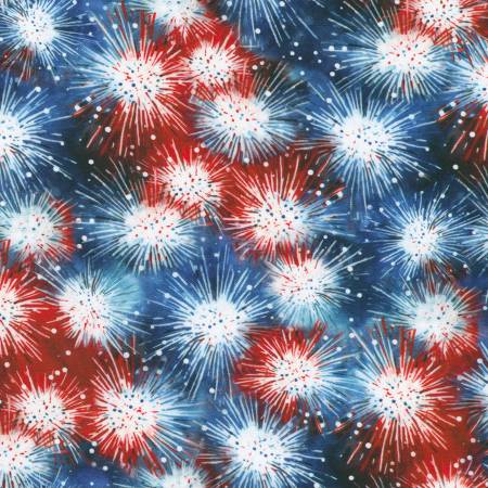 Stars and Stripes Packed Fireworks Celebration