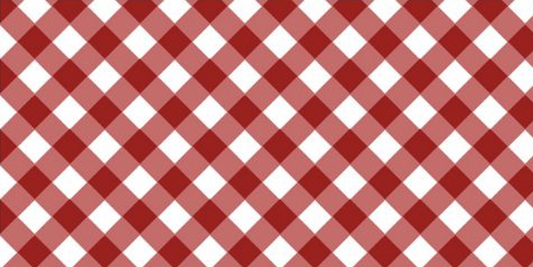 QATD 2025 Red Gingham
