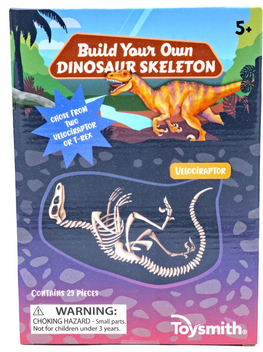 Build your own Dino Skeleton