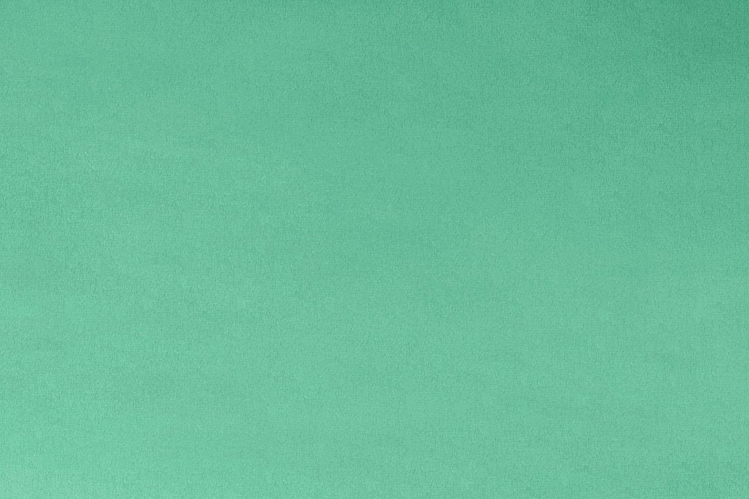 Spearmint Solid 90" Shannon Cuddle